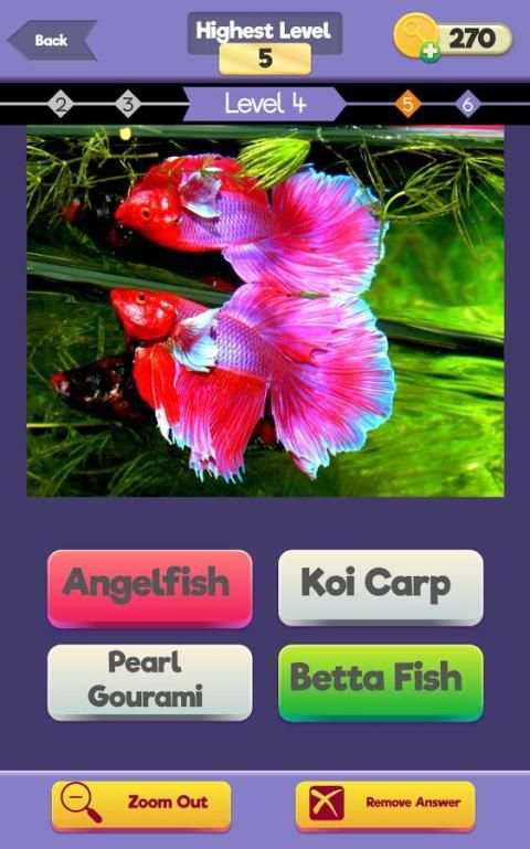 Zoom Trivia - Animals Edition screenshot 6