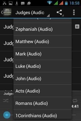 Alkitab NIV Gratis screenshot 3