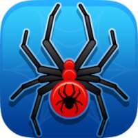 Spider Solitaire Card