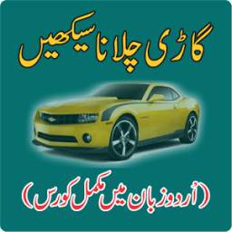 Learn Driving in Urdu