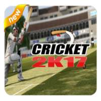 Pro Cricket Sport Tips