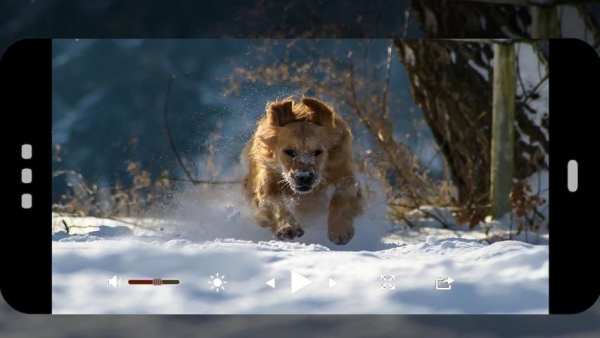 vedio Golde player HD скриншот 2