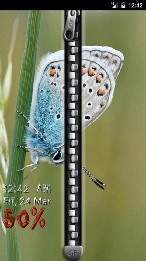 Wallet Lock Screen screenshot 20