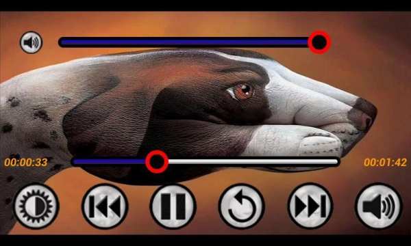 MP4/FLV HD Tube Video Player скриншот 3
