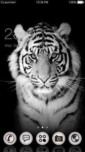 White Tiger Theme screenshot 4