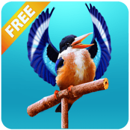 Real Talking Bird أيقونة