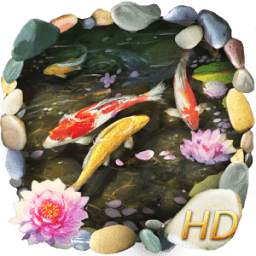 Aquatic Koi Fish HD