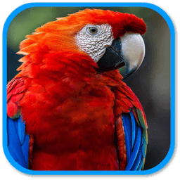 Parrot Sound आइकन