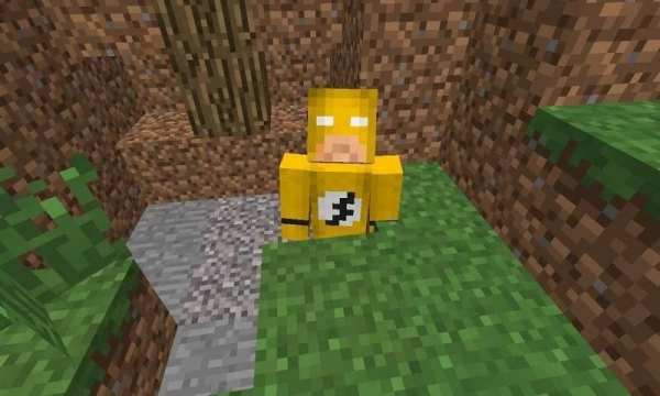 Mod Flash for MCPE screenshot 2