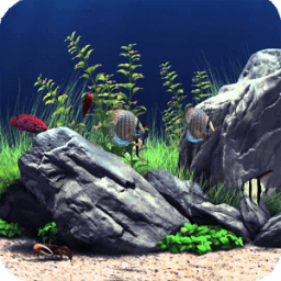 ikon Aquarium Pack 2 Wallpaper