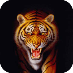 Tiger live wallpaper आइकन