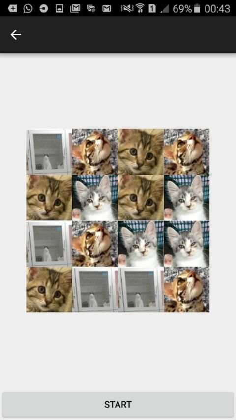 Game Kucing screenshot 7