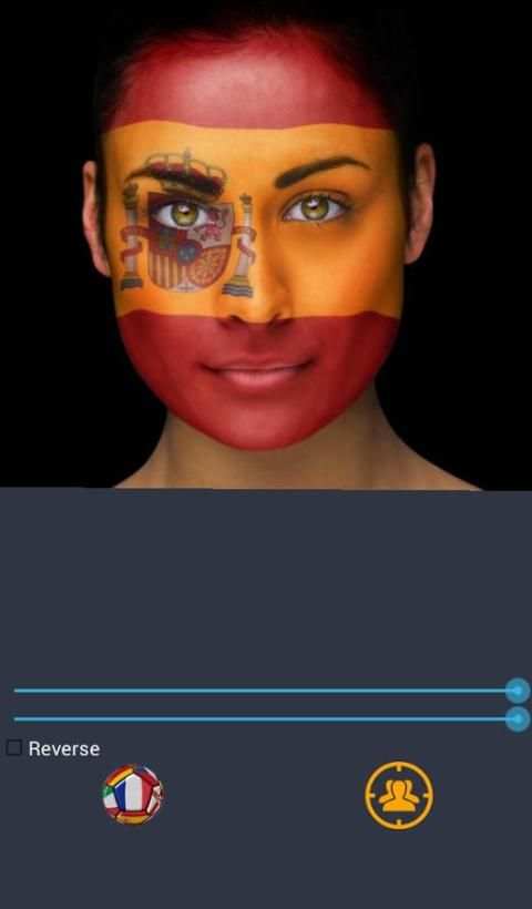 Flag euro 2016 face& half-face скриншот 3