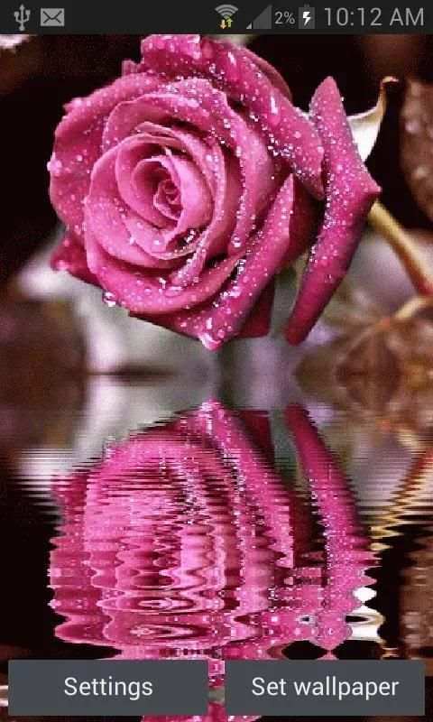Dewy Pink Reflection LWP screenshot 3