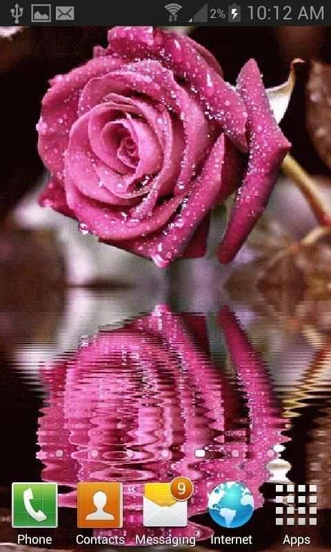 Dewy Pink Reflection LWP screenshot 1