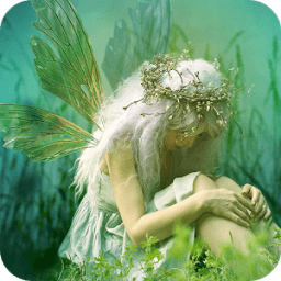 Fairy Wallpaper иконка