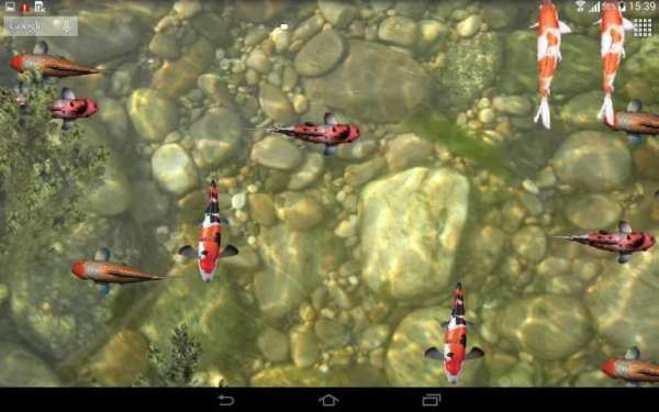 Aquarium Live Wallpaper 3D स्क्रीनशॉट 3