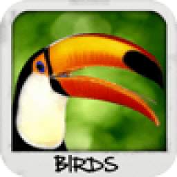 Birds Wallpapers 1.0