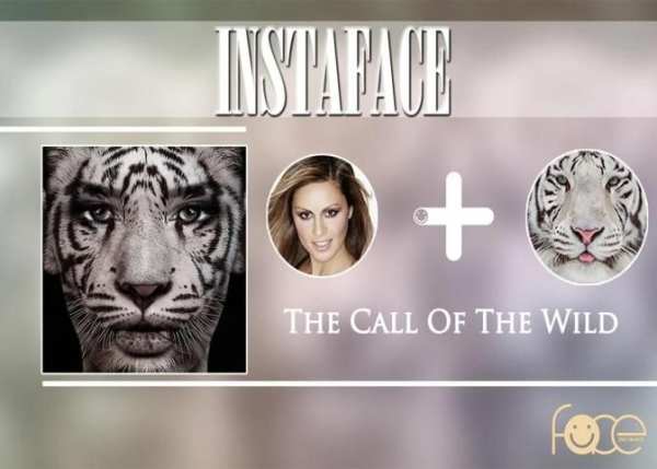 InstaFace स्क्रीनशॉट 3