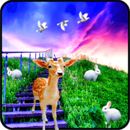 S5 Grass Land Live Wallpaper أيقونة