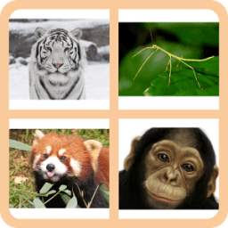 4 Pics 1 Animal