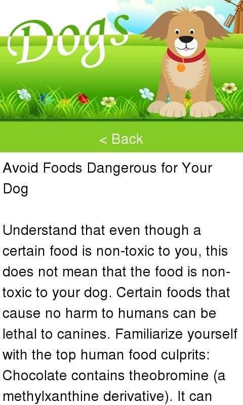 Dogs скриншот 1