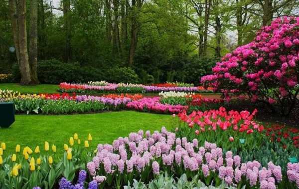 Spring Live Wallpaper स्क्रीनशॉट 2