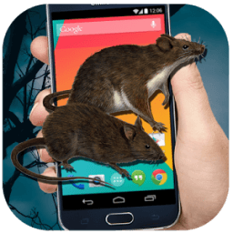 Mouse on Screen - funny joke icon