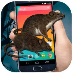 mouse on screen 1.1