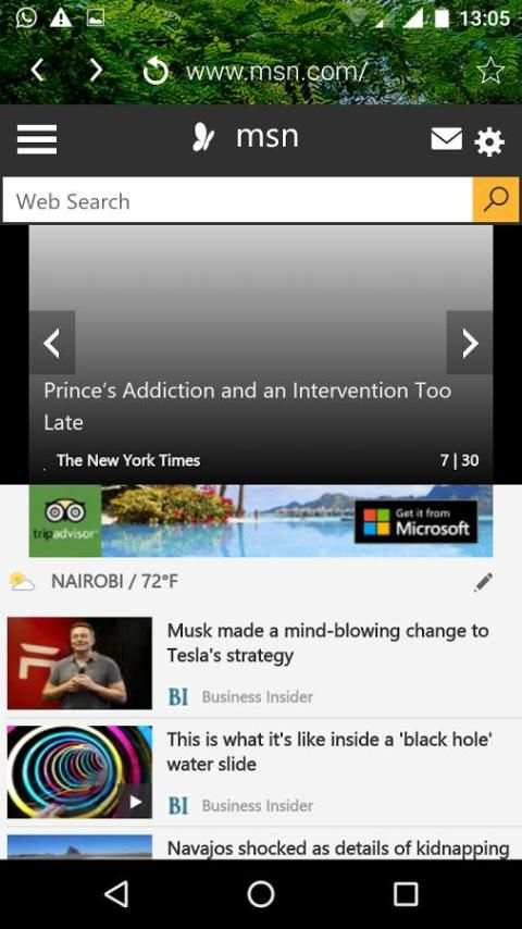 Flyfox Browser screenshot 1