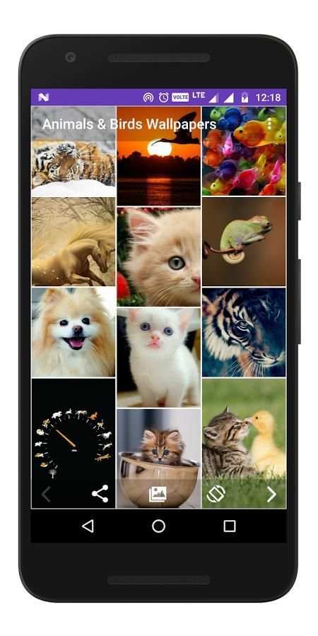 Animals & Birds - Wallpapers स्क्रीनशॉट 4
