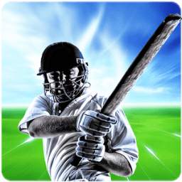 Hitwicket Cricket Manager Game