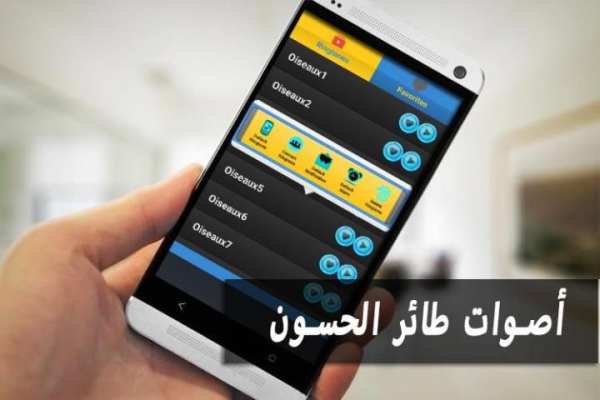 أصوات طائر الحسون screenshot 1