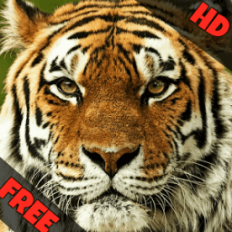 Indian Animal Sounds иконка