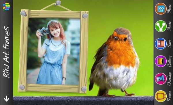 Bird Art Frames 7 تصوير الشاشة