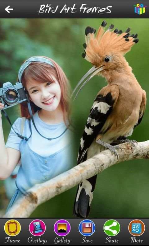 Bird Art Frames 6 تصوير الشاشة