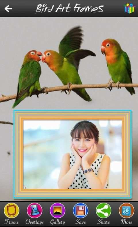 Bird Art Frames 4 تصوير الشاشة