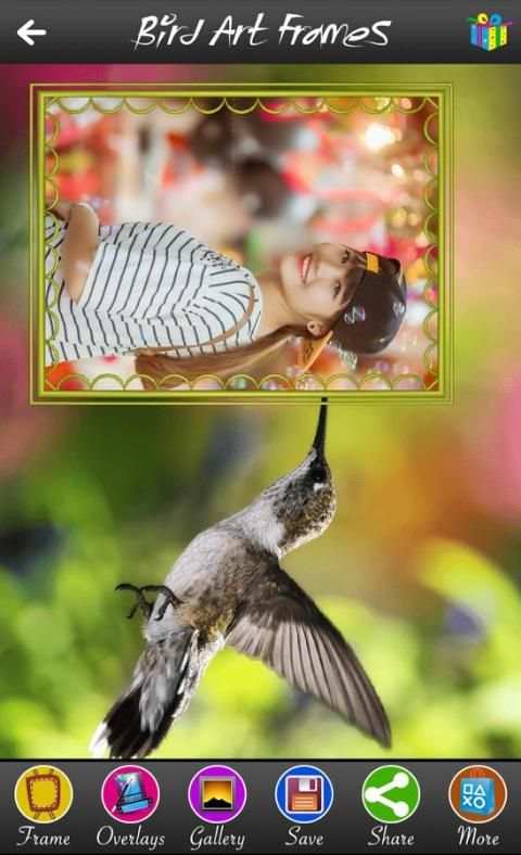 Bird Art Frames 5 تصوير الشاشة
