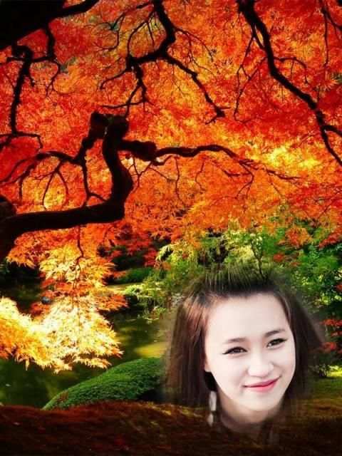 Autumn Photo Frames screenshot 2