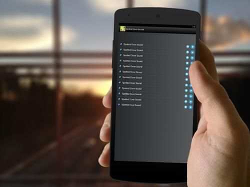 Spotted Dove Bird Sounds screenshot 3
