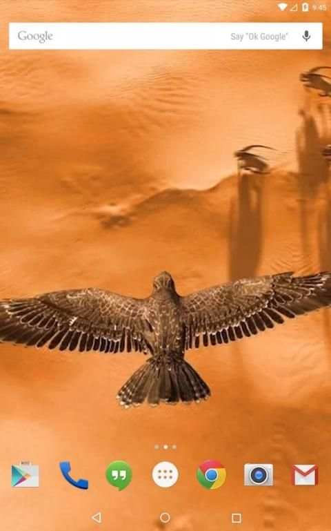 Heavenly Bird Fly Live Wallpaper скриншот 1