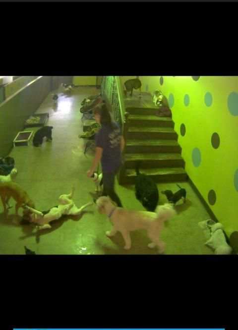 phreak world IP camera screenshot 4