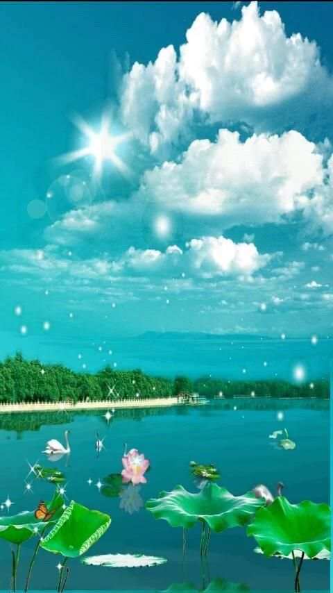 Lotus Ponds 3D Live Wallpaper स्क्रीनशॉट 1