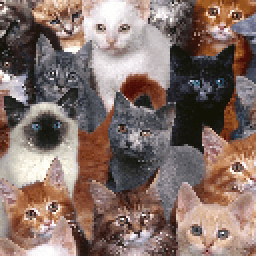 HD Cats Wallpapers иконка