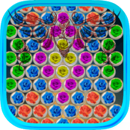 Bubble Rose Free иконка