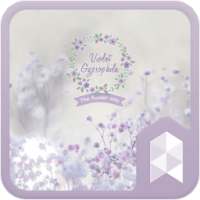 Violet Gypsophila theme on 9Apps
