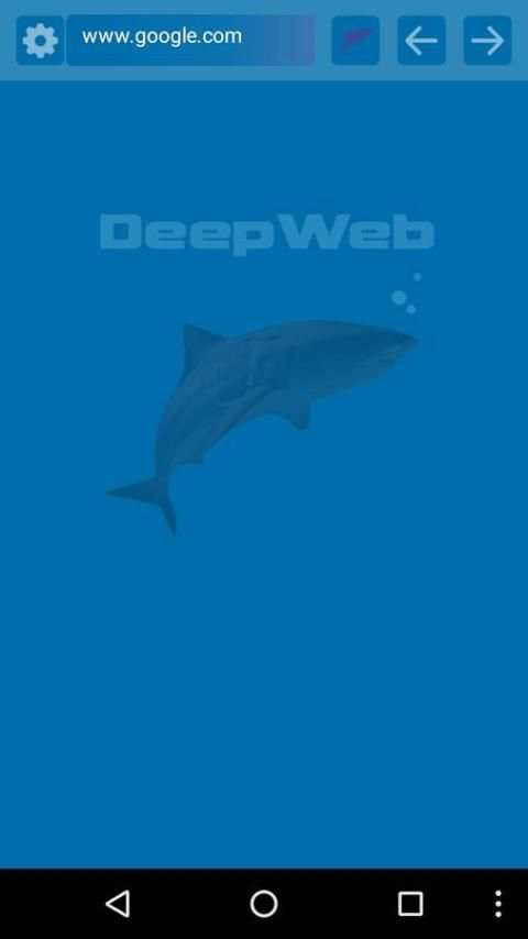 Deep Web Incognito Browser screenshot 2
