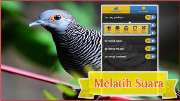 Master Burung Perkutut screenshot 1