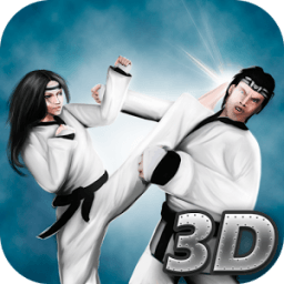 ikon Karate Fighting Tiger 3D