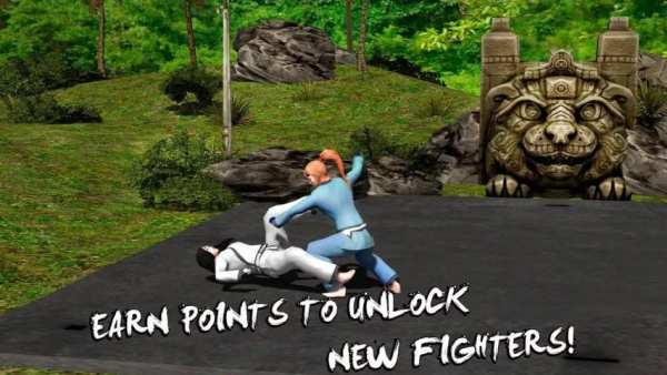 Karate Fighting Tiger 3D скриншот 3